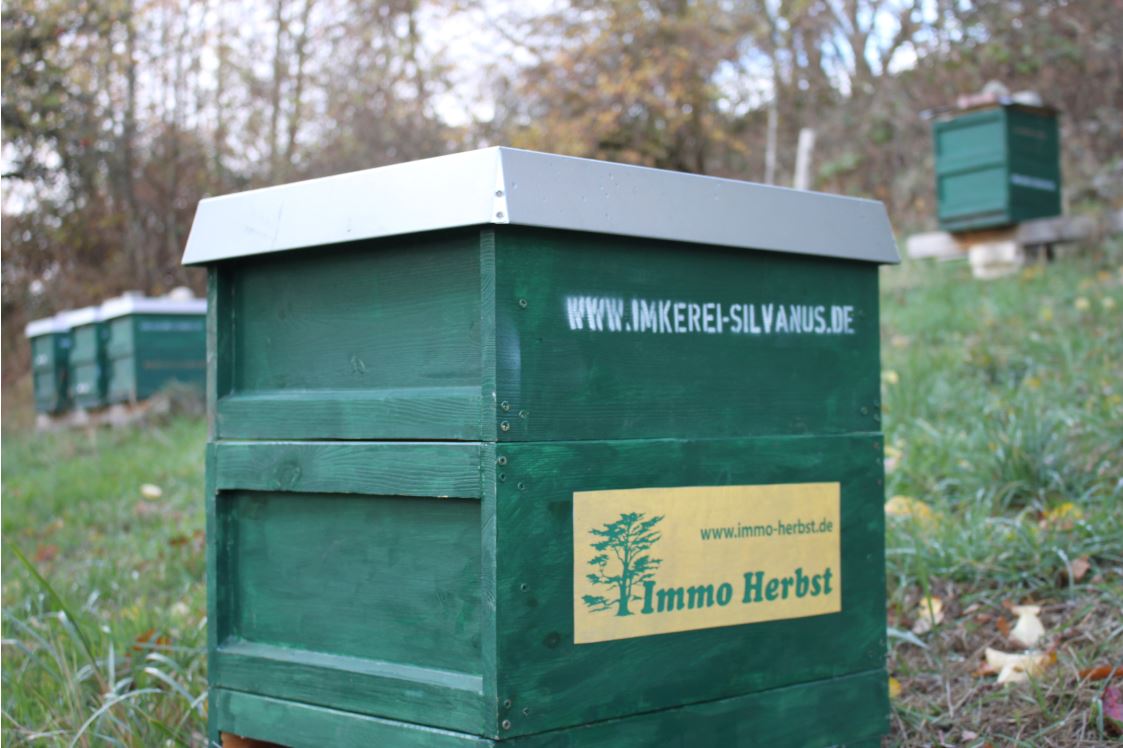 Immo Herbst ist Sponsor der Imkerei Silvanus