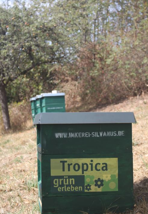 Das Tropica ist Sponsor der Imkerei Silvanus